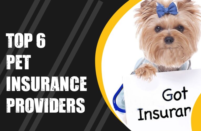 Top 6 Pet Insurance Providers in the UK: Ensuring Health and Happiness for Your Pets